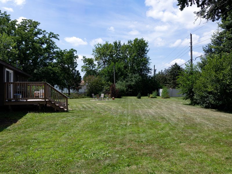 Expansive, tree-lined backyard with endless room for play, pets & gardens